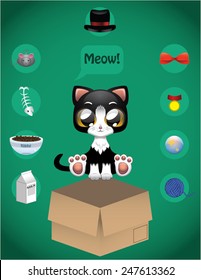 Kitty cat and elements