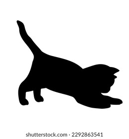 Kitty Katze Silhouette, Vektorgrafik, Katzenrassen, Haustier, Tierkatze.