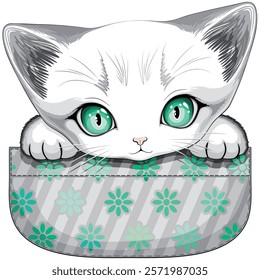 Kitty Cute Playful Baby Cat with big aqua Eyes, peaking out from a Pocket, Vector illustration 
