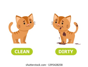 Kitty dirty and clean. Illustration of opposites  dirty and clean.
Card for teaching aid, for a foreign language learning. Vector illustration on white background.
