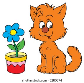 Kitty and flower