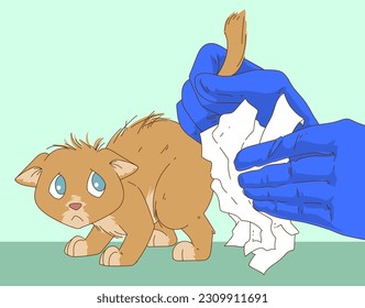 Kitty mit gesundheitlichen Problemen. Veterinär wäscht das Kätzchen. Tierärztliche Veranschaulichung. Illustration im Gesundheitswesen. 