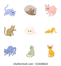 Kitty icons set. Cartoon illustration of 9 kitty vector icons for web