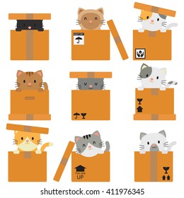 Kitty Inside Boxes / Packages Collection In White Background