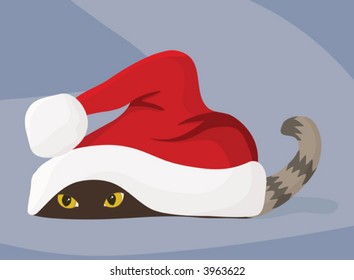 Kitty lays in wait for Santa
