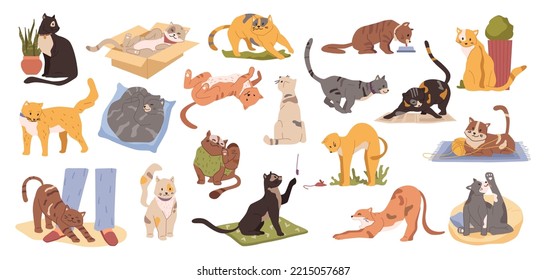 Kitty life, isolated kittens sleeping and resting, playing and spending time indoors. Car habits and routine, feline animal mammal. Vector in flat style