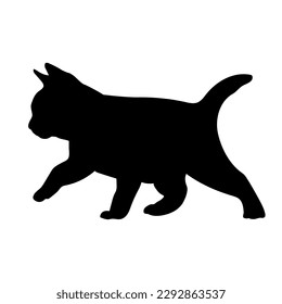 kitty silhouette cat silhouette, vector, cat breeds, pet, animals cat.