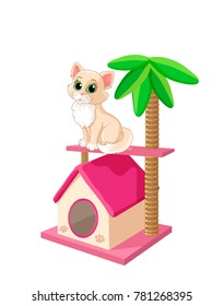 kitty sitting on a soft house shelf Palma a rag scratching post happy bright pink light