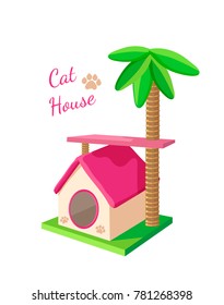 kitty sitting on a soft house shelf Palma a rag scratching post happy bright pink light