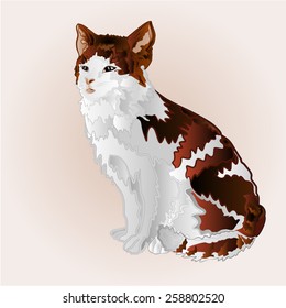 Kitty three color sitting  vector illustration