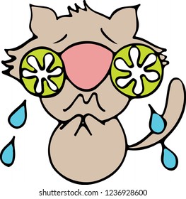 Kitty is usually happy... but not today