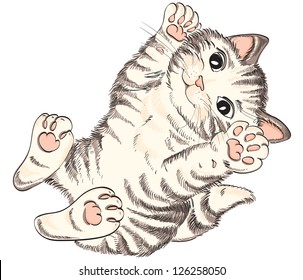 Kitty. Vector hand drawing