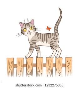Kitty walks on the fence.
