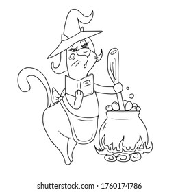 Kitty witch with an apron and a big hat prepares a potion according to a recipe from a book, vector design for a banner, poster, greeting card, party invitation.Соloring