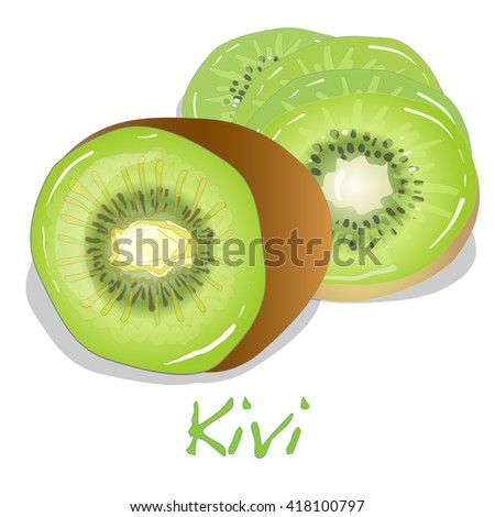 Kivi vector illustration isolated on white 