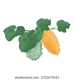 A aparência exótica da fruta Kiwano torna esta obra de arte adequada para conceitos de comida, projetos de estilo de vida saudável, temas culinários, embalagens, visuais de nutrição, mercados tropicais e materiais educacionais