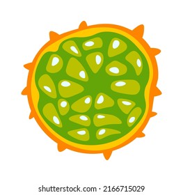 Kiwano Exotic Fruit. Vector illustration