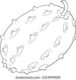 Kiwano fruits, cucumis metulifer, horned melon. Vector hand drawn, line, coloring pages illustration on white background.