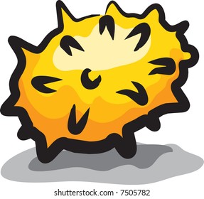 Kiwano isolated on white background. African horned melon