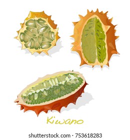 kiwano melon on white background illustration set