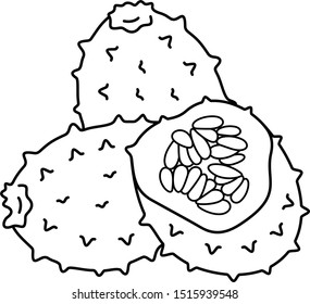 Kiwano melons. Vector outline icon.