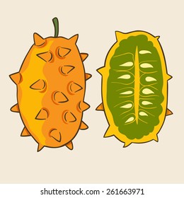 Kiwano, vector Illustration. Exotic fruit. Hand-drawn style.