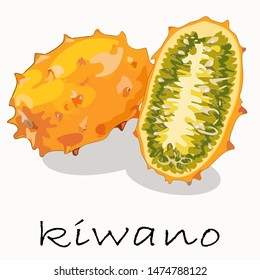 Kiwano whole and cut fruit. Vector illustration suitable for print on clothes, covers, dictionary, menu, etc.