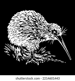 Kiwi Animal Bird Ornithology Zoology New Zealand Biology Vector