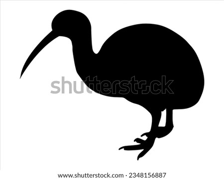 Kiwi apteryx silhouette vector art