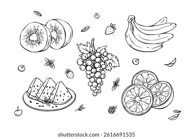Kiwi, banana, grapes, orange, watermelon, and berries. Hand-drawn vector fruit set, black and white line art. Graphic elements for coloring books, flyers, cards, kitchen prints, and menu design.