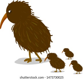 A kiwi bird with a 3 kiwi chicks, vector, color drawing or illustration.