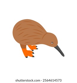 Kiwi Bird Australian Symbol Vector Illustration