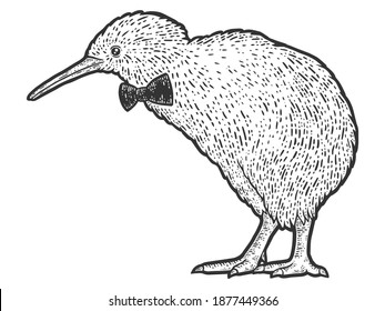 Kiwi bird in bow tie. Engraving vector illustration. Sketch