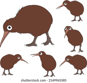 Kiwi Bird Cartoon Character Illustration Native Aotearoa New Zealand