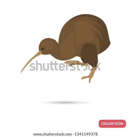 Kiwi bird color flat icon for web and mobile design