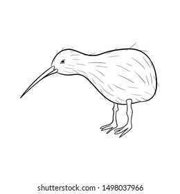 kiwi bird doodle vector hand drawing