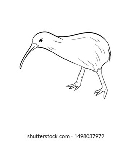 kiwi bird doodle vector hand drawing