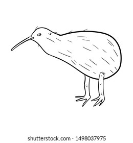 kiwi bird doodle vector hand drawing