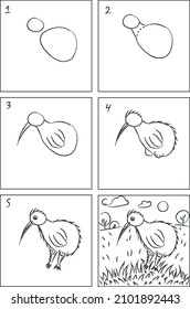 Kiwi bird drawing instruction and coloring book
