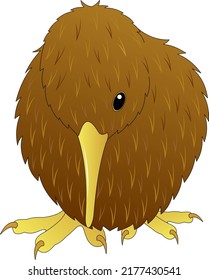 Kiwi bird. Flightless. Guarded view.