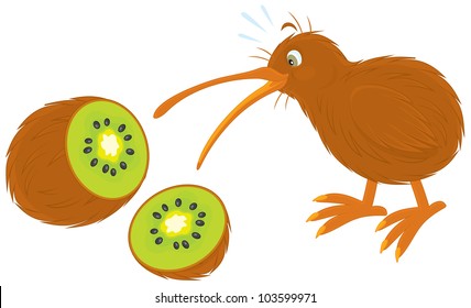 kiwi bird and kiwi fruit