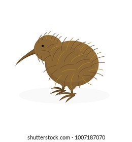 Kiwi bird icon. Vector illustration