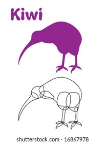 Kiwi Bird Illustration