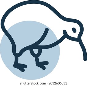 Kiwi bird, illustration, vector, on a white background.