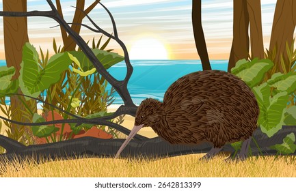 Kiwi bird in the jungle on the ocean shore. Wildlife of New Zealand. Realistic vector landscape