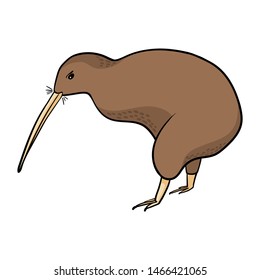 Kiwi bird. Kids, vector image on white background isolated. Use for magazines, children's books, colorings, prints on clothes.