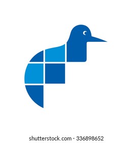 kiwi bird logo vector