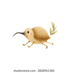 Kiwi bird with long beak and legs