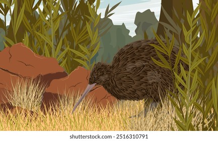 Pájaro kiwi buscando comida en la hierba seca. Fauna de la Nueva Zelanda. Paisaje de Vector realista