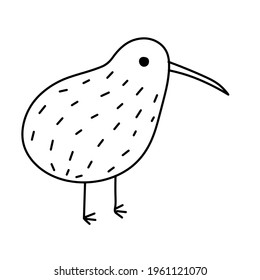 Kiwi bird. Rare Australian animal. Black and white sketch style. Cartoon illustration isolated